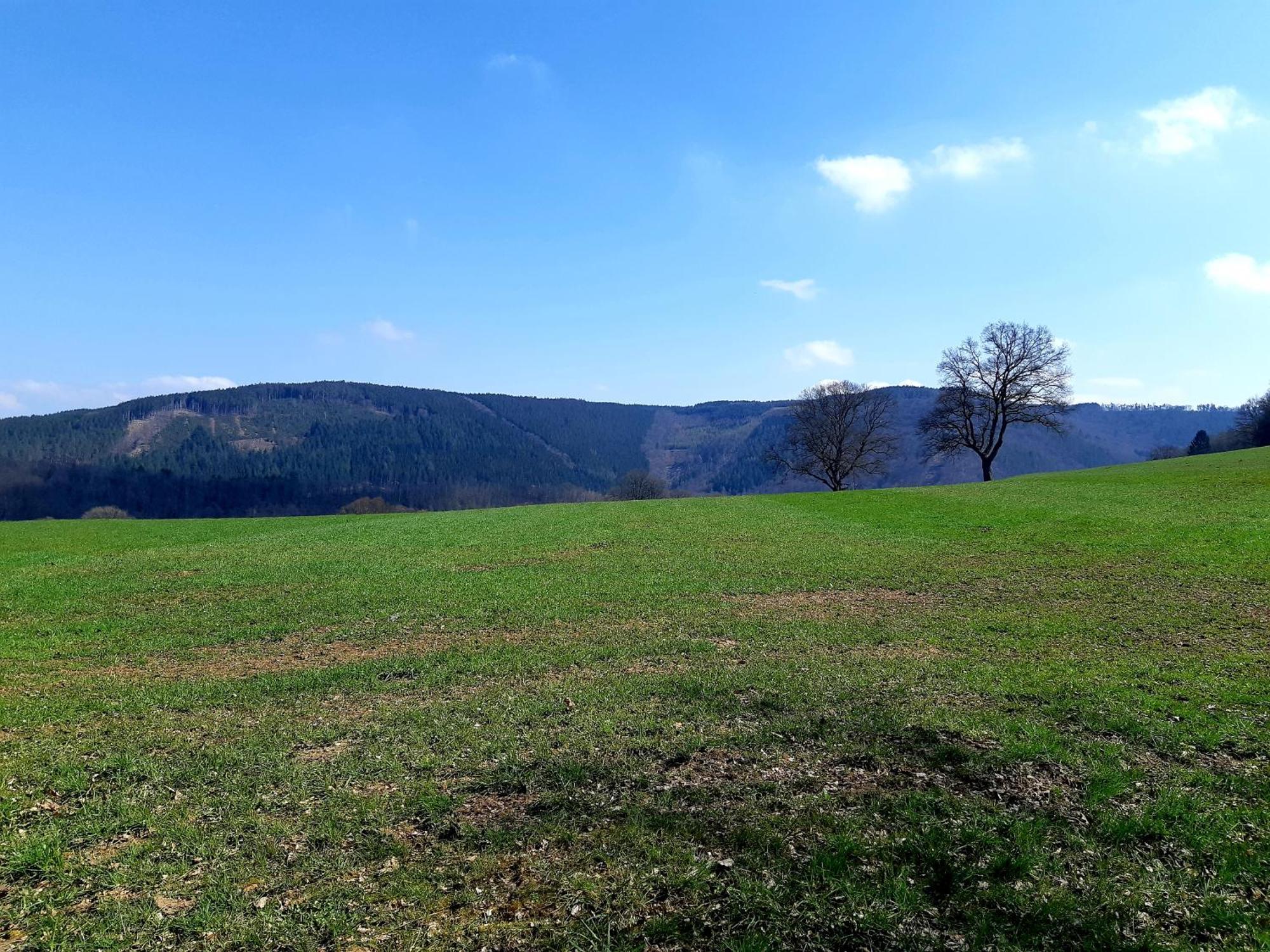 La Maison Des Senteurs Francorchamps Esterno foto